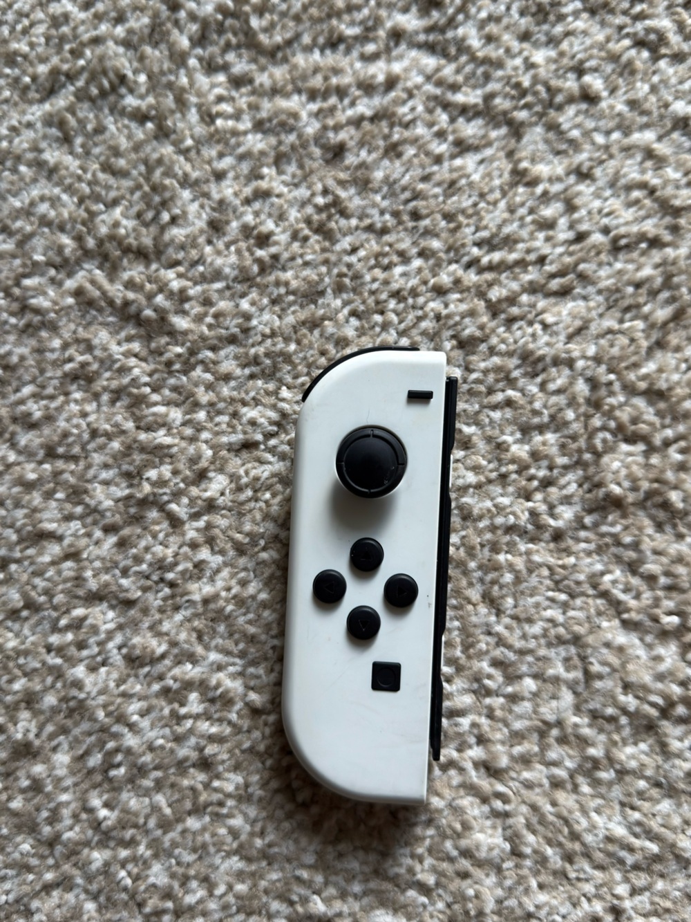 Nintendo Switch Joycon